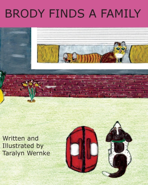 Brody Finds a Family-9780578702926