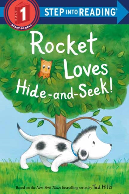 Rocket Loves Hide-and-Seek!-9780593177891