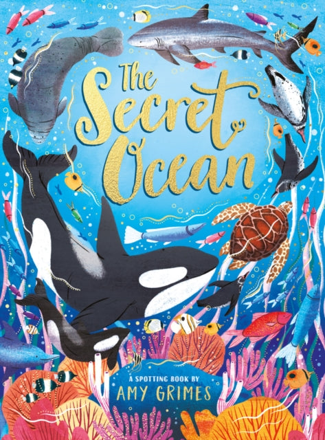 The Secret Ocean-9780702331220