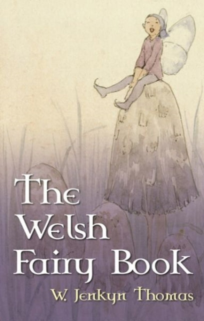 The Welsh Fairy Book-9780708312575