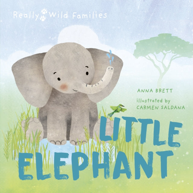 Little Elephant : A Day in the Life of a Elephant Calf-9780711274112
