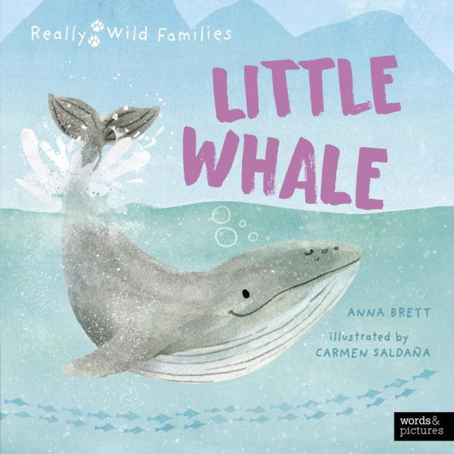 Little Whale : A Day in the Life of a Whale Calf-9780711283541