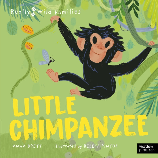 Little Chimpanzee : A Day in the Life of a Baby Chimp-9780711283572