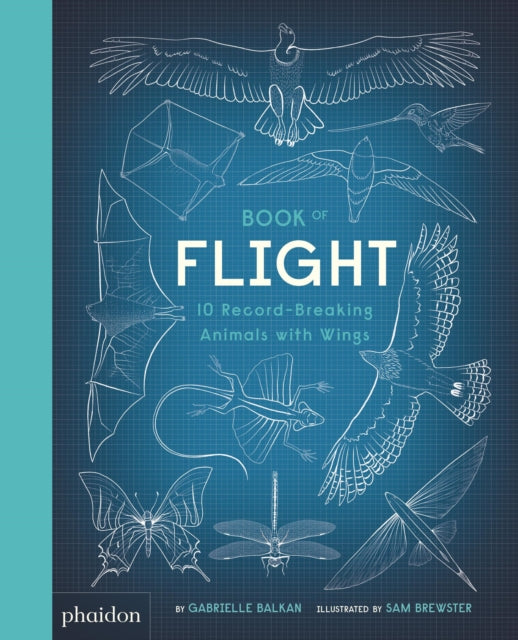 Book of Flight : 10 Record-Breaking Animals with Wings-9780714878683