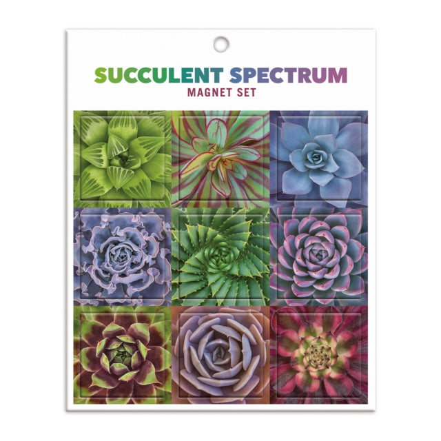 Succulent Spectrum Magnet Set-9780735364776