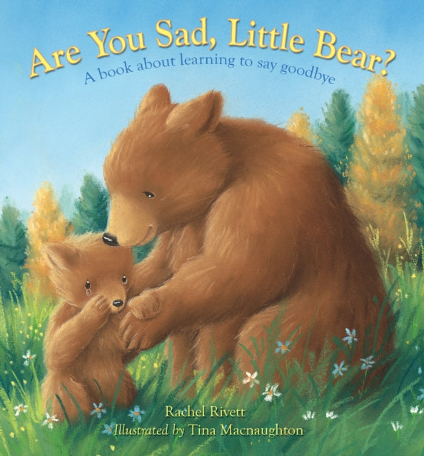 Are You Sad, Little Bear? : A book about learning to say goodbye-9780745978932