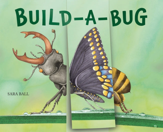 Build-a-Bug : Make Your Own Wacky Insect!-9780789214287