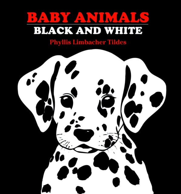 Baby Animals Black and White 9780881063134