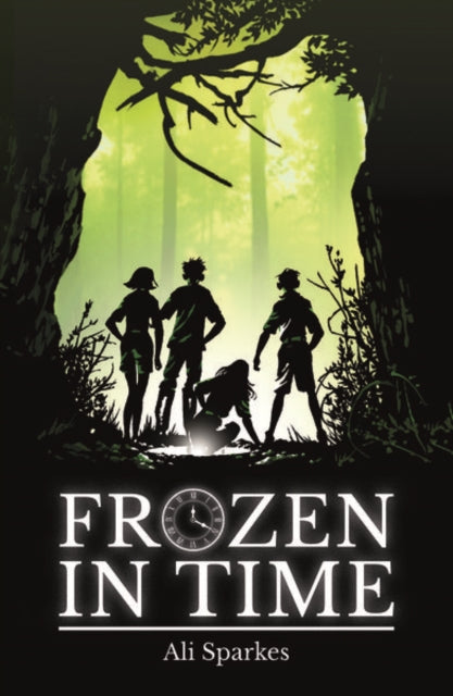 Rollercoasters: Frozen in Time 9781382008433