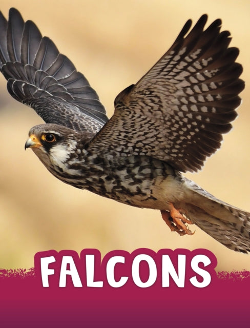 Falcons-9781398243958