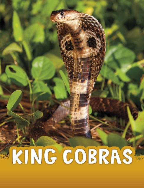 King Cobras-9781398243996