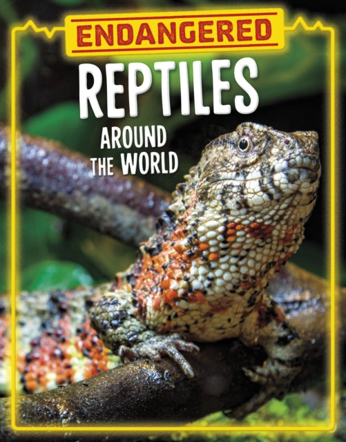 Endangered Reptiles Around the World-9781398258457