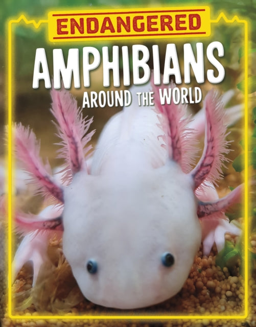 Endangered Amphibians Around the World-9781398258471