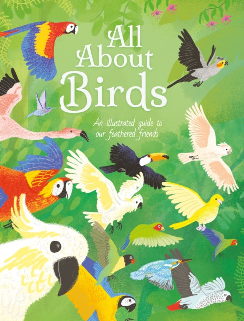 All About Birds : An Illustrated Guide to Our Feathered Friends 9781398811164