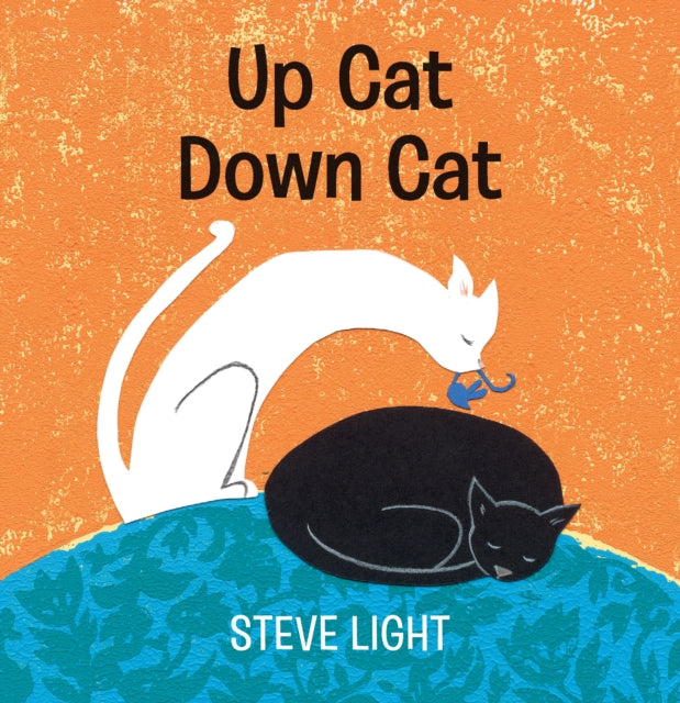 Up Cat Down Cat 9781406393545