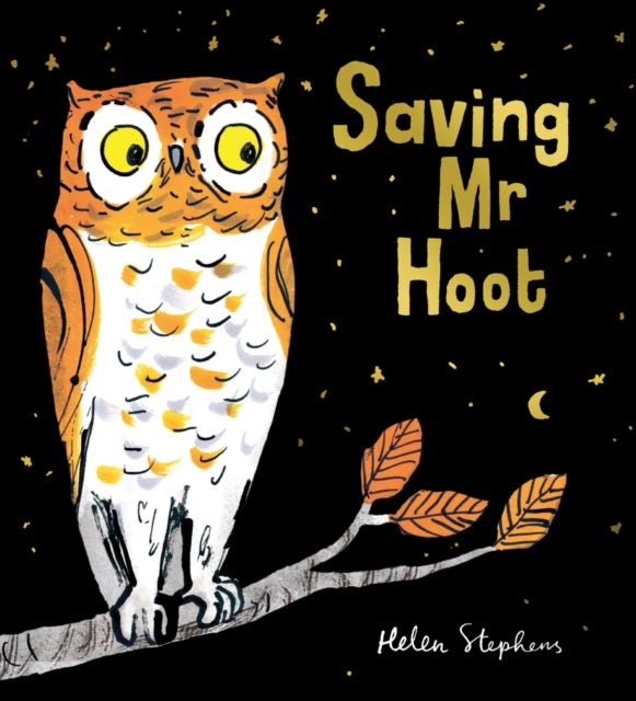 Saving Mr Hoot PB 9781407191973