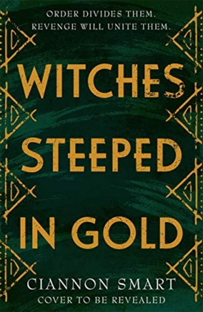 Witches Steeped in Gold 9781471409585
