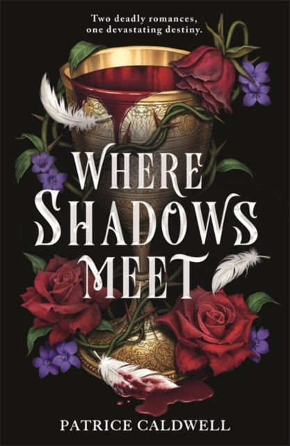 Where Shadows Meet : The instant Sunday Times bestselling sapphic vampire romantasy 9781471411861