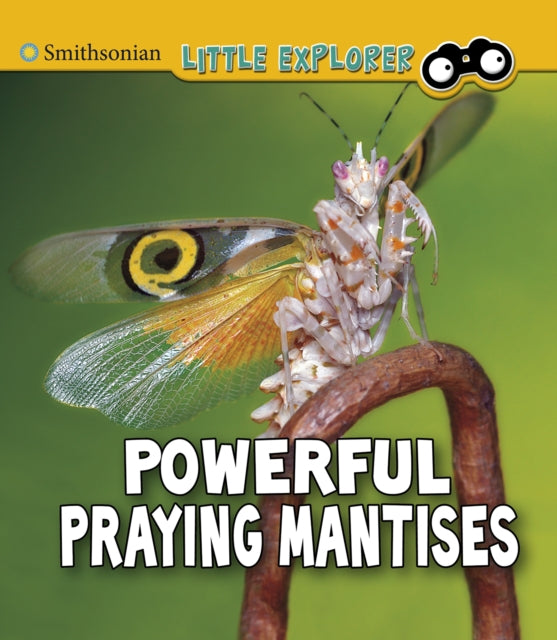 Powerful Praying Mantises 9781474794756