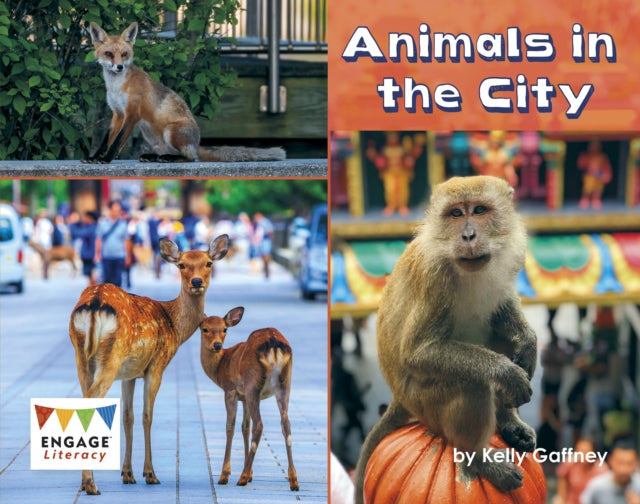 Animals in the City 9781474799478
