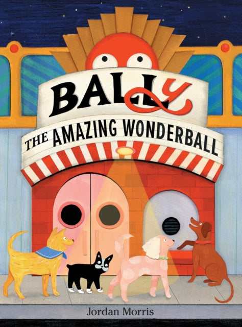BALLy the Amazing Wonderball 9781525312625