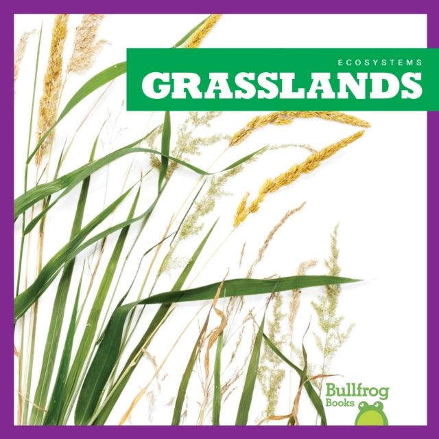 Grasslands-9781620316795