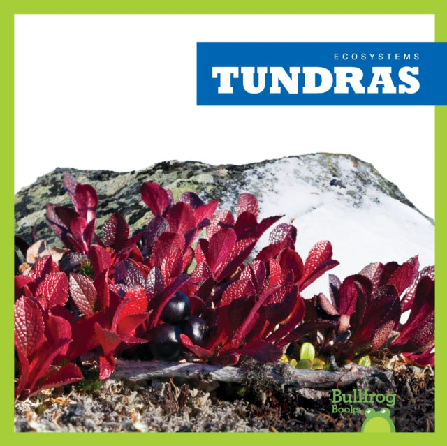 Tundras-9781620316825