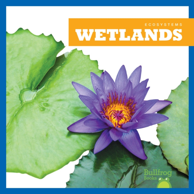 Wetlands-9781620316832