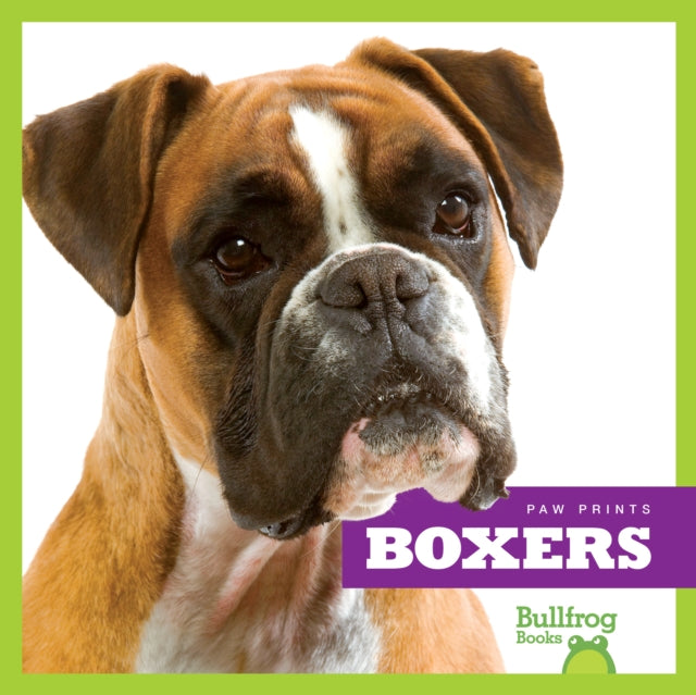 Boxers-9781624967665