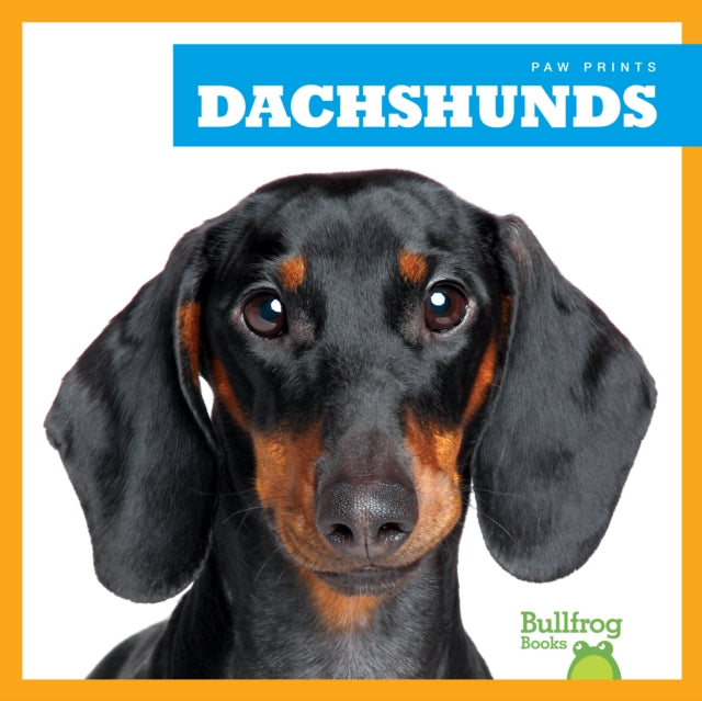 Dachshunds-9781624967689