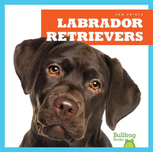 Labrador Retrievers-9781624967788