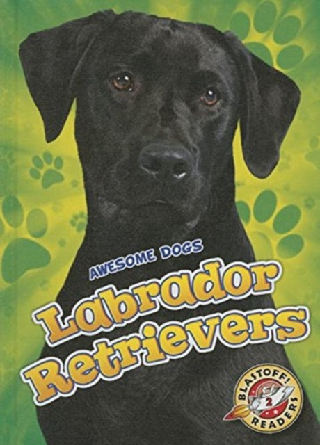 Labrador Retrievers-9781626172425