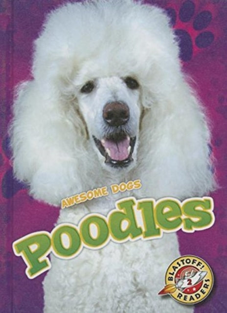 Poodles-9781626172432
