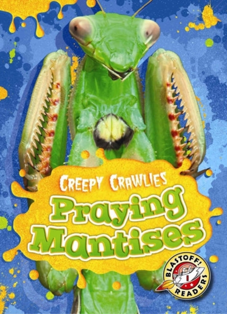 Praying Mantises-9781626173002