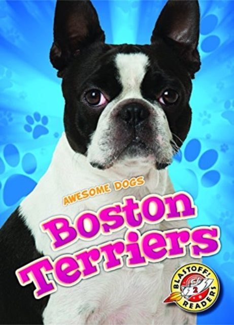 Boston Terriers-9781626175570