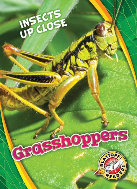 Grasshoppers-9781626176652