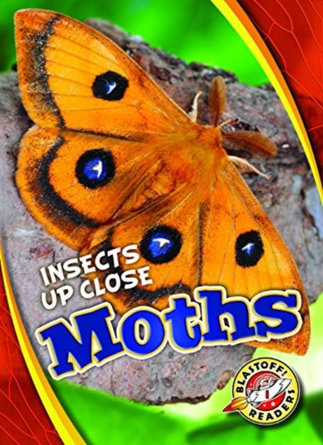Moths-9781626177185