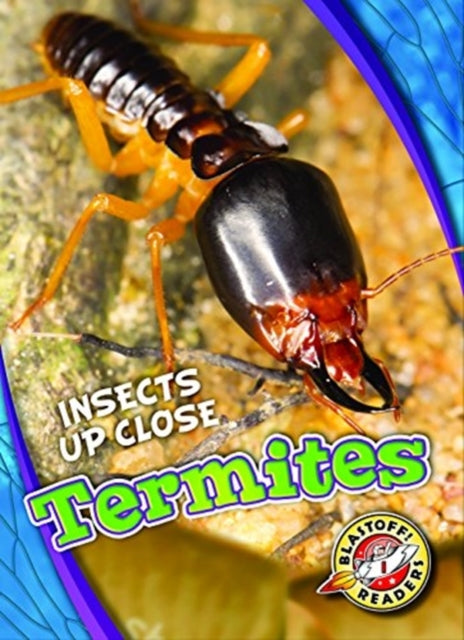 Termites-9781626177192