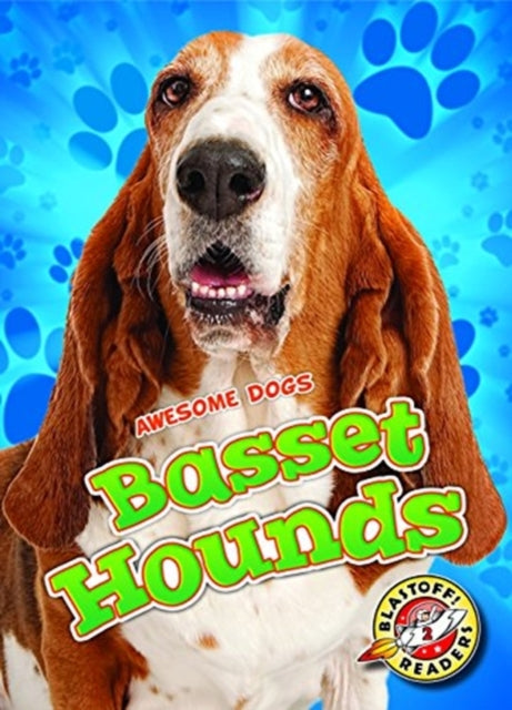 Basset Hounds-9781626177383