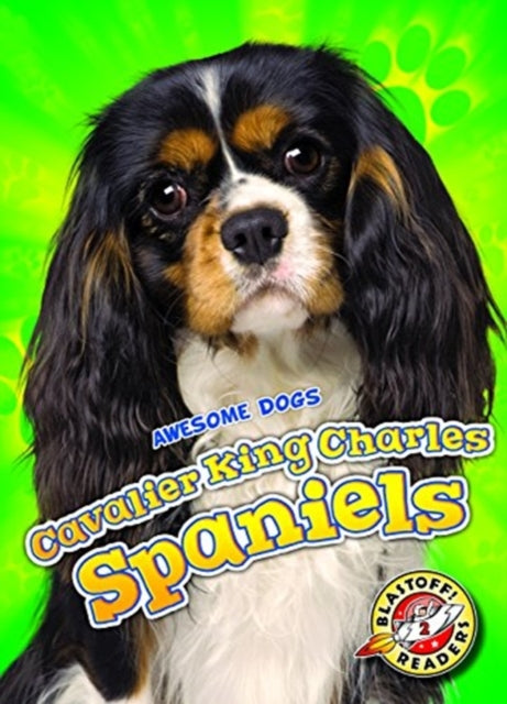 Cavalier King Charles Spaniels-9781626177413
