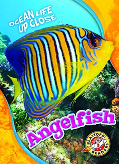Angelfish-9781626177642