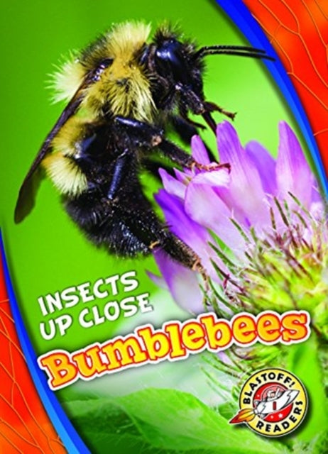 Bumblebees-9781626178014