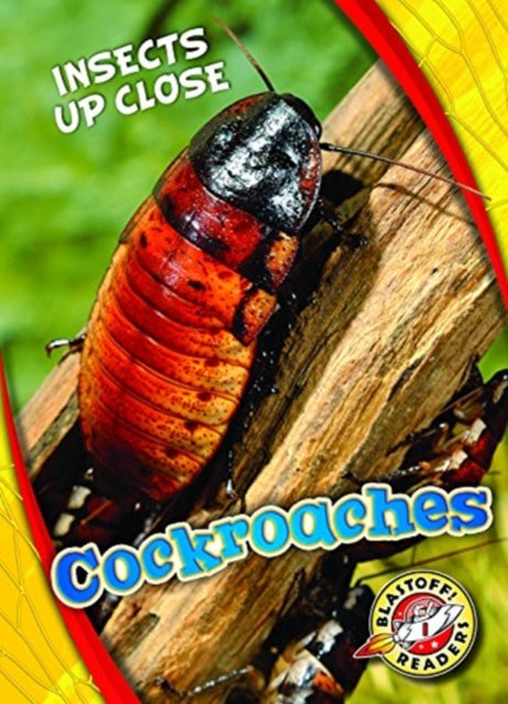 Cockroaches-9781626178021