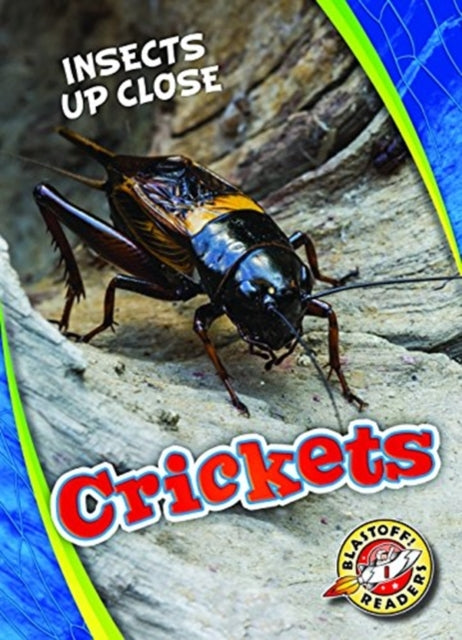 Crickets-9781626178038