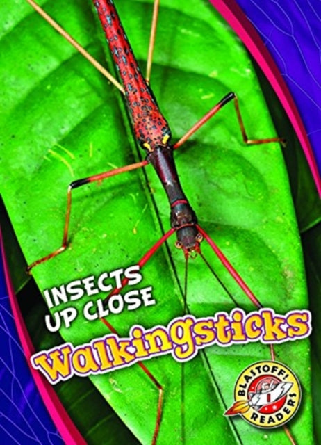 Walkingsticks-9781626178045