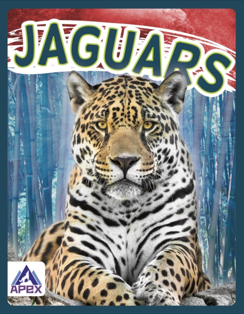 Jaguars-9781637380666