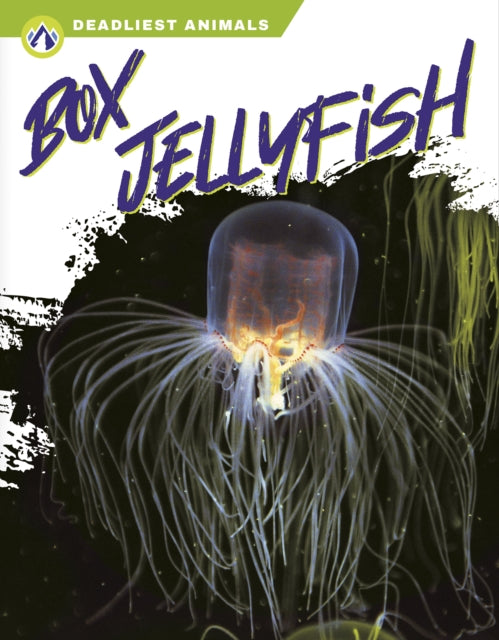Box Jellyfish-9781637383179