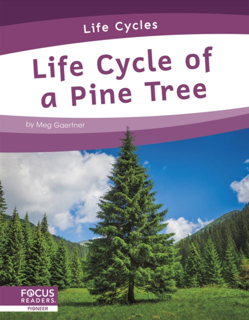 Life Cycle of a Pine Tree-9781644938300