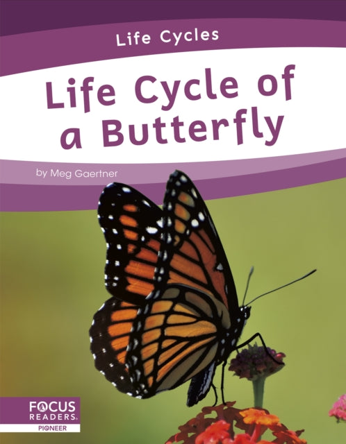 Life Cycle of a Butterfly-9781644938720