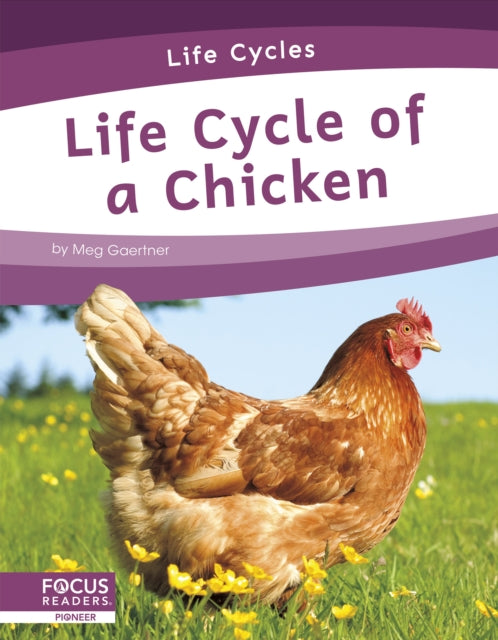 Life Cycle of a Chicken-9781644938737